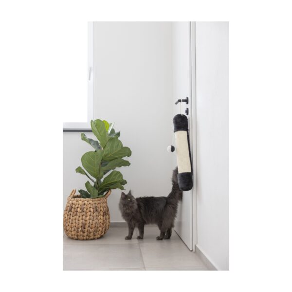 Kradsepude med sisal - Image 3
